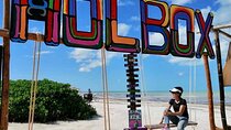 Living Dream, Holbox Tour! Round Transportation from Cancun