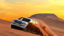 Evening Desert Safari Adventure in Dubai