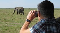 5Days 4Nights Masai Mara, Lake Nakuru & Hell's Gate Lake Naivasha Budget Safari