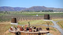 Valle de Guadalupe Private Driver and Vehicle 10 hours