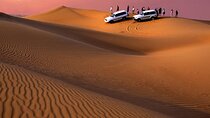 Private Tour at Desert Safari With Camel Ride & BBQ Dinner