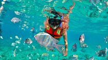 Snorkeling tour Express in Cancun with Certified Guide