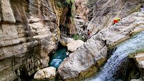 Full-Day Private Wadi Tiwi Adventure