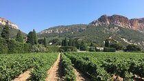 Half day Wine Tour in Bandol & Cassis from Aix en Provence