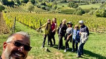 Tuscany Wine Tour from Livorno Port