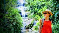 Rio Nature Secrets - The Eco Citytour (small group or private) 