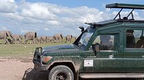 6 Days Amboseli,Lake Naivasha and Masai Mara Safari