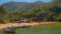 Private Boat Tour to Yelapa with Snorkeling and Waterfall Hike