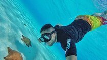 Cozumel Snorkeling Experience! El Cielo Reef from Cancun