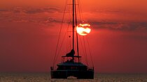Ultimate Key West Day: Dolphin & Snorkel Combo with Sunset Sail
