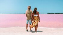 Las Coloradas & Rio Lagartos Tour from Cancún