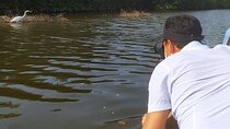 Cartagena Mangrove Private Tour