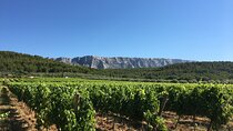 Short Day Tour around Aix en Provence and Wine Tasting