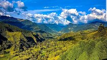 Cocora, Salento and Filandia (The daughter of the Andes) Walking Tour in Quindio