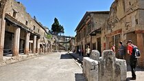 Herculaneum VIP Tour with Lunch from Naples 