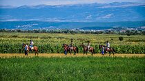 All-inclusive Horse riding & Jeep exploring
