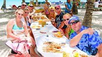 Private Exclusive Saona Island VIP Tours