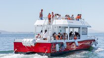 30min Harbour Boat Cruise Cape Town