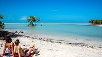 Awesome Holbox Tour. Ferry, Lunch & Punta Mosquito visit included