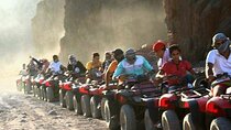 Quad Bike Tour in Sinai Desert 