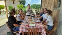 4 Wines & 2 Olive Oils Tasting in Chianti Winery with Tour 