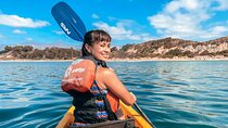 Gaviota Coast Kayak Tour Near Santa Barbara (3.5 Hours)
