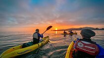 Sunset Kayak Tour in Santa Barbara Harbor (2 Hours)