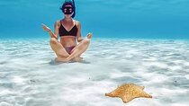 Tour Cozumel Snorkel Experience! Lunch & Transportation only from Cancun