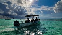 Cozumel El Cielo Tour by Boat from Playa del Carmen & Transfer