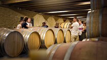 Visit of the cellars of Château Gigognan with tasting
