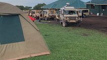 4-Day fascinating Camping Safari in Tanzania