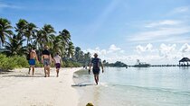 2 Islands Tour - Isla Contoy and Isla Mujeres from Playa del Carmen 