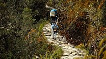 Inca Trail to Machu Picchu (4 Days)
