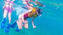 Snorkel with Transportation from Cancun 