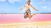 Las Coloradas Pink Lakes & Río Lagartos Wildlife Tour
