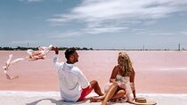 Pink Lagoons Las Coloradas & Rio Lagartos Boat Tour from Tulum