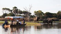 3-Days Private Nyerere NP Game Drive and Boat safari tour