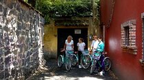 Guided Biking Tour in Coyoacán