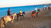 Makadi Bay Horse Ride Tour