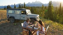 Afternoon Private Grand Teton Tour with Picnic Dinner