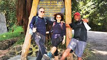 Mount Kilimanjaro 6-Day Climbing Tour via Marangu Route 