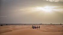  3 Days In Private To The Desert From Fes Finishing In Marrakech