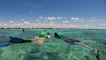 Snorkeling with Caribbean fish and private cenote exploration