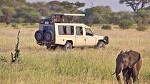 5-Day Tanzania National Park Tour from Arusha