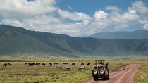 3 Days Group Safari Serengeti & Ngorongoro 
