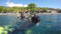 Discover Scuba Diving in Bali with photo and video