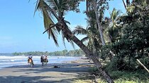 Horseback Riding & Cahuita National Park–Private Sightseeing Tour