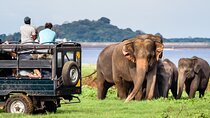 GO WILD! Double Safari Day Trip (Yala & Udawalawe) - Private & All Inclusive 