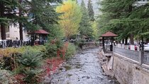 Private Tour : Borjomi(Historical Park), Bakuriani Ski Resort