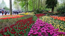 Private Day Trip to Keukenhof and The Tulperij